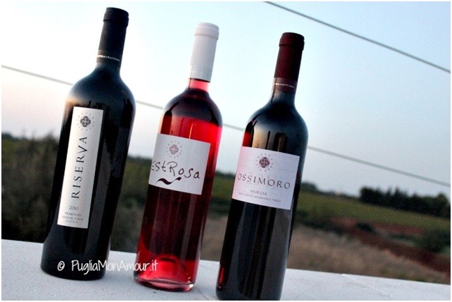 Murgia Igt “Ossimoro” 2015 - Pietraventosa